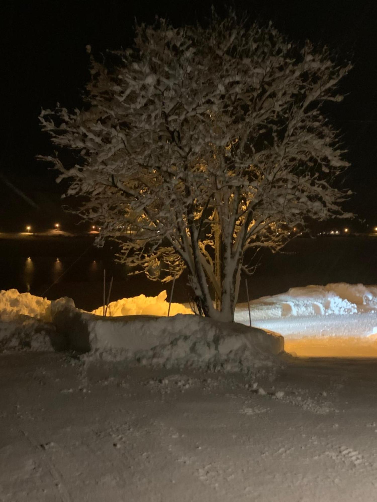 Liten Leilighet Inkludert Frokost Valberg Exteriör bild